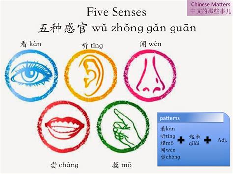 雙獅戲球 5 senses in chinese